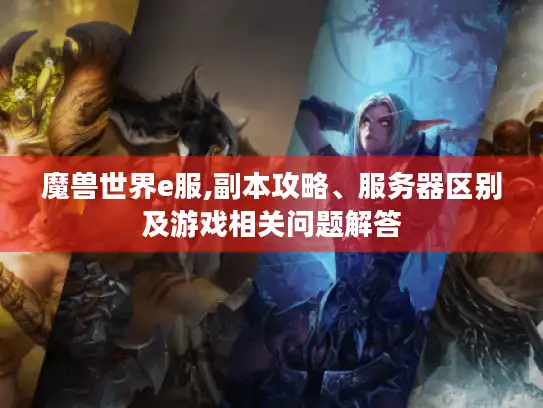 魔兽世界e服,副本攻略、服务器区别及游戏相关问题解答