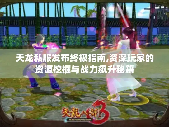 天龙私服发布终极指南,资深玩家的资源挖掘与战力飙升秘籍