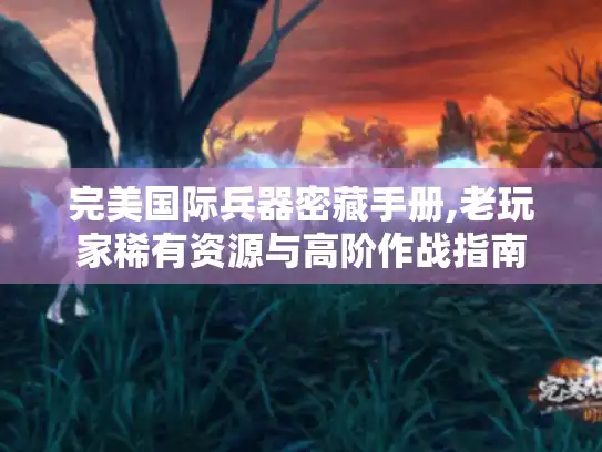 完美国际兵器密藏手册,老玩家稀有资源与高阶作战指南