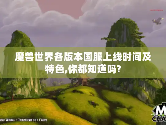 魔兽世界各版本国服上线时间及特色,你都知道吗?
