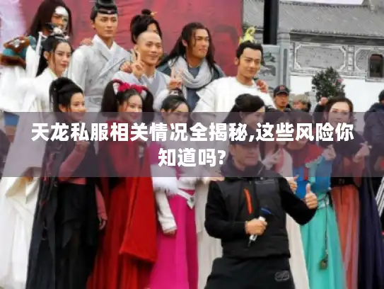 天龙私服相关情况全揭秘,这些风险你知道吗? 天龙私服相关情况全揭秘,这些风险你知道吗?