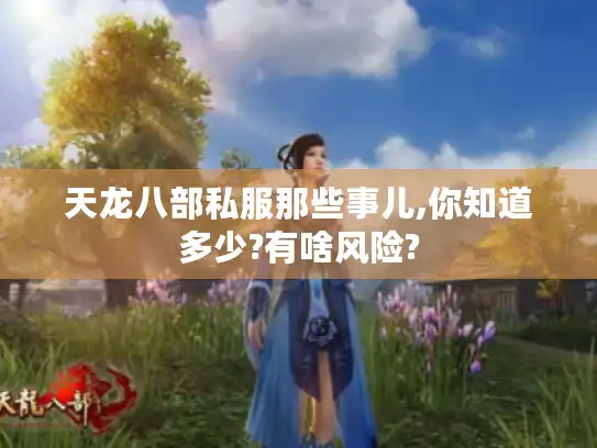 天龙八部私服那些事儿,你知道多少?有啥风险? 天龙八部私服那些事儿,你知道多少?有啥风险?