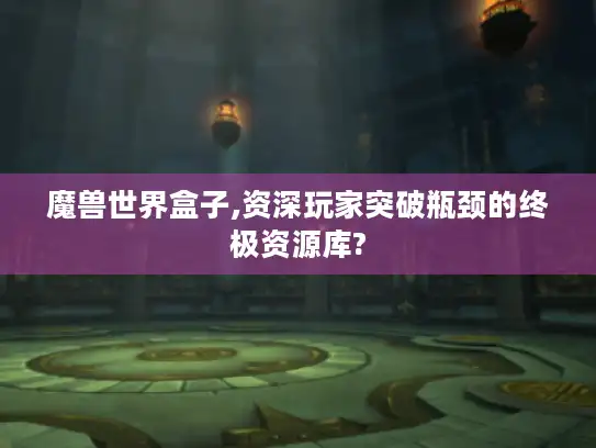 魔兽世界盒子,资深玩家突破瓶颈的终极资源库?