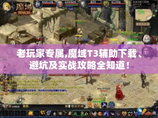 老玩家专属,魔域T3辅助下载、避坑及实战攻略全知道！