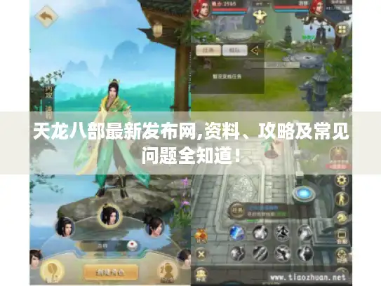 天龙八部最新发布网,资料、攻略及常见问题全知道！