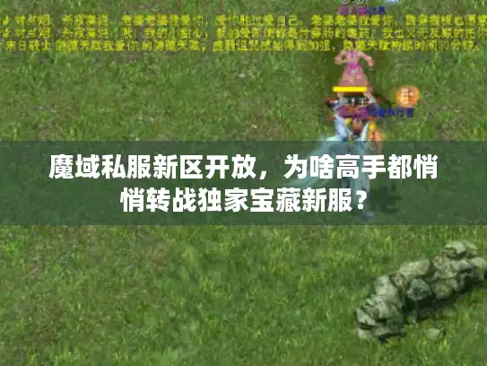 魔域私服新区开放，为啥高手都悄悄转战独家宝藏新服？