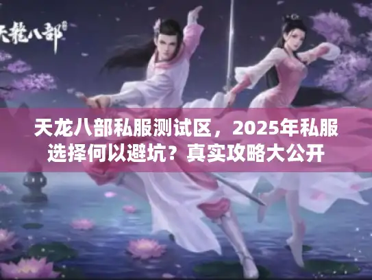 天龙八部私服测试区,2025年私服选择何以避坑?真实攻略大公开 天龙八部私服测试区,2025年私服选择何以避坑?真实攻略大公开