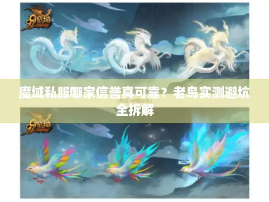 魔域私服哪家信誉真可靠？老鸟实测避坑全拆解