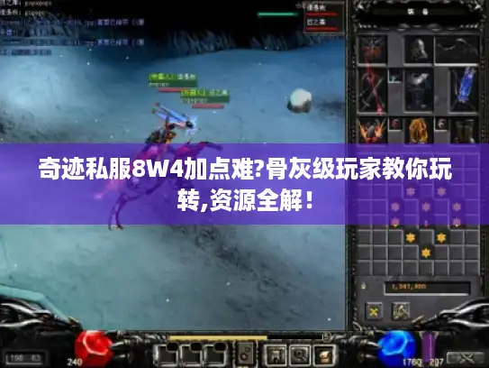 奇迹私服8W4加点难?骨灰级玩家教你玩转,资源全解！