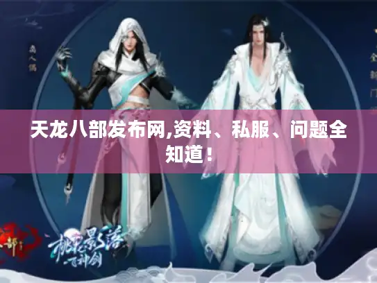 天龙八部发布网,资料、私服、问题全知道！