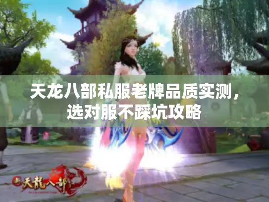 天龙八部私服老牌品质实测,选对服不踩坑攻略 天龙八部私服老牌品质实测,选对服不踩坑攻略