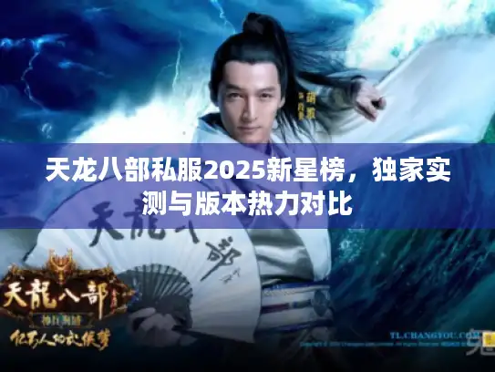天龙八部私服2025新星榜，独家实测与版本热力对比