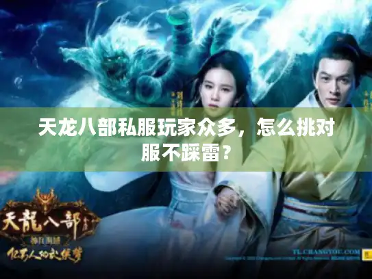 天龙八部私服玩家众多,怎么挑对服不踩雷? 天龙八部私服玩家众多,怎么挑对服不踩雷?