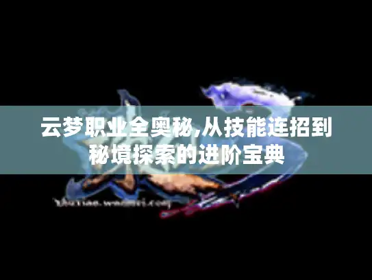 云梦职业全奥秘,从技能连招到秘境探索的进阶宝典
