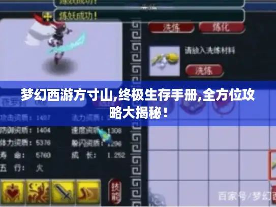 梦幻西游方寸山,终极生存手册,全方位攻略大揭秘！