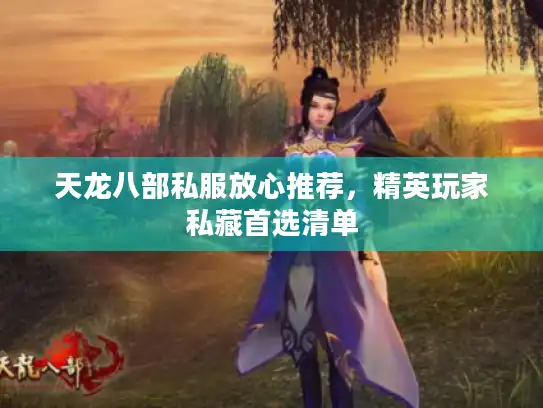 天龙八部私服放心推荐，精英玩家私藏首选清单