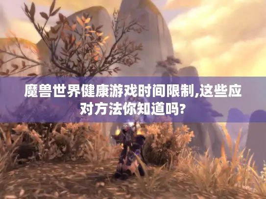 魔兽世界健康游戏时间限制,这些应对方法你知道吗?