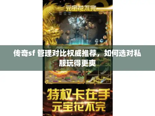 传奇sf 管理对比权威推荐，如何选对私服玩得更爽