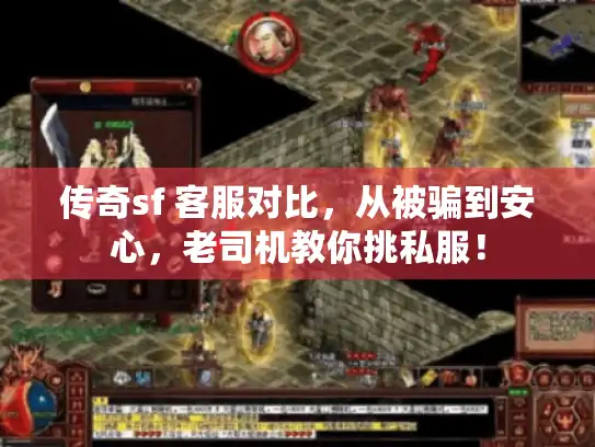 传奇sf 客服对比，从被骗到安心，老司机教你挑私服！