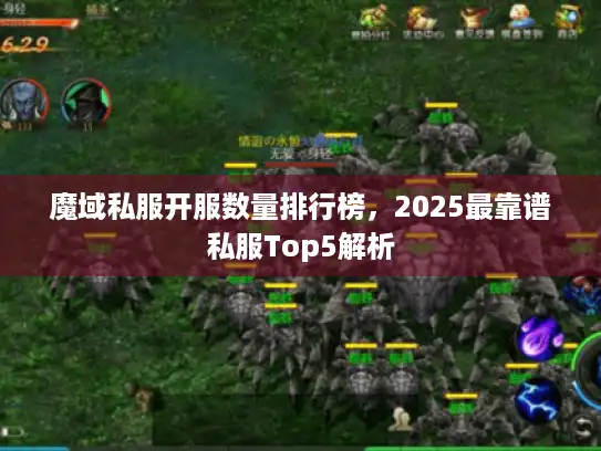 魔域私服开服数量排行榜，2025最靠谱私服Top5解析