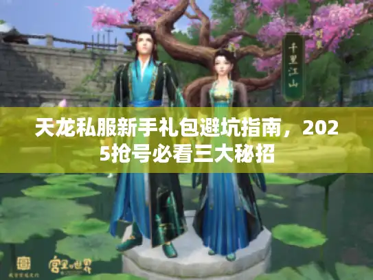 天龙私服新手礼包避坑指南，2025抢号必看三大秘招