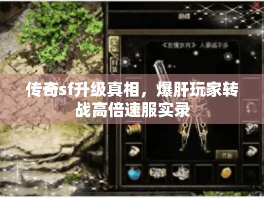 传奇sf升级真相，爆肝玩家转战高倍速服实录