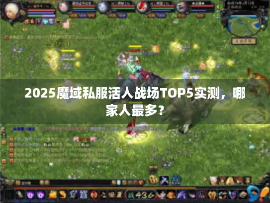 2025魔域私服活人战场TOP5实测，哪家人最多？