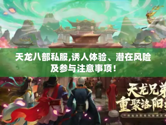 天龙八部私服,诱人体验、潜在风险及参与注意事项！