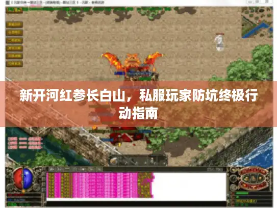 新开河红参长白山,私服玩家防坑终极行动指南 新开河红参长白山,私服玩家防坑终极行动指南