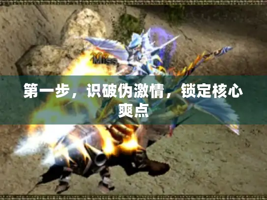 第一步，识破伪激情，锁定核心爽点