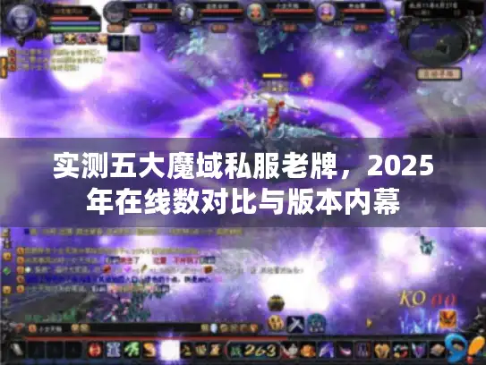 实测五大魔域私服老牌,2025年在线数对比与版本内幕 实测五大魔域私服老牌,2025年在线数对比与版本内幕