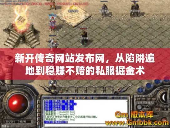 新开传奇网站发布网，从陷阱遍地到稳赚不赔的私服掘金术