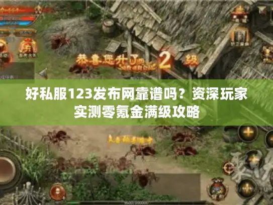 好私服123发布网靠谱吗？资深玩家实测零氪金满级攻略