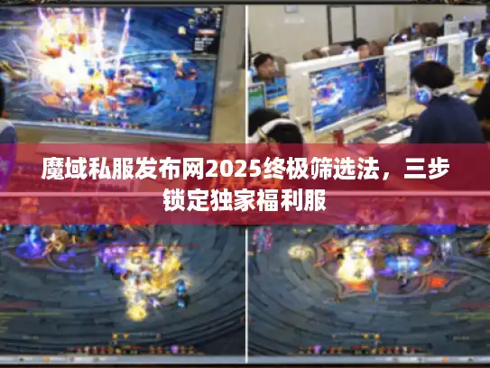 魔域私服发布网2025终极筛选法，三步锁定独家福利服