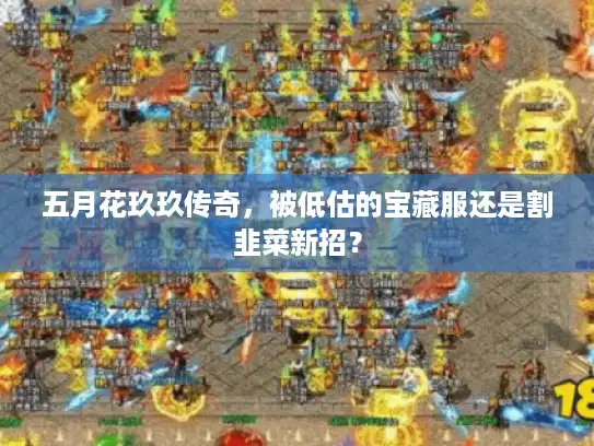 五月花玖玖传奇，被低估的宝藏服还是割韭菜新招？