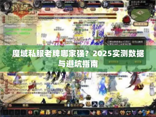 魔域私服老牌哪家强？2025实测数据与避坑指南