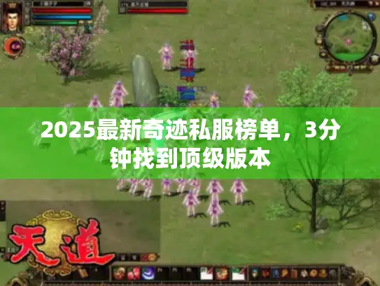 2025最新奇迹私服榜单，3分钟找到顶级版本
