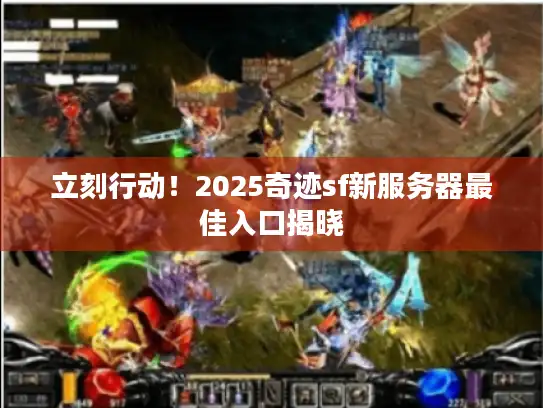 立刻行动！2025奇迹sf新服务器最佳入口揭晓