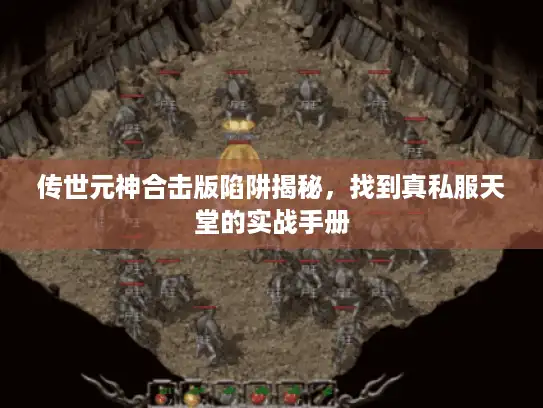 传世元神合击版陷阱揭秘，找到真私服天堂的实战手册
