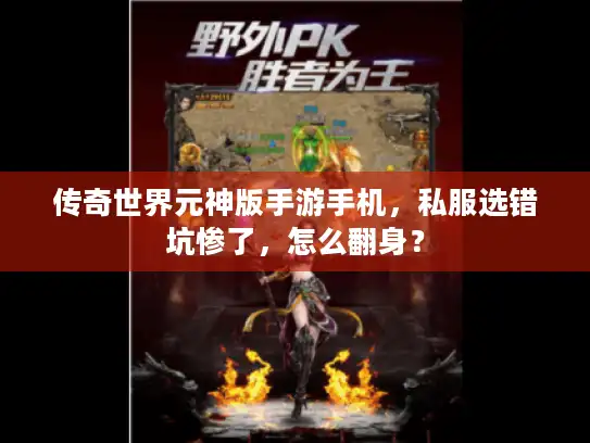 传奇世界元神版手游手机,私服选错坑惨了,怎么翻身? 传奇世界元神版手游手机,私服选错坑惨了,怎么翻身?