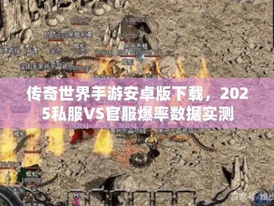 传奇世界手游安卓版下载，2025私服VS官服爆率数据实测