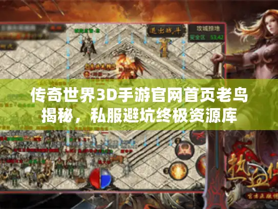 传奇世界3D手游官网首页老鸟揭秘，私服避坑终极资源库