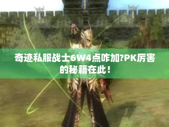 奇迹私服战士6W4点咋加?PK厉害的秘籍在此！
