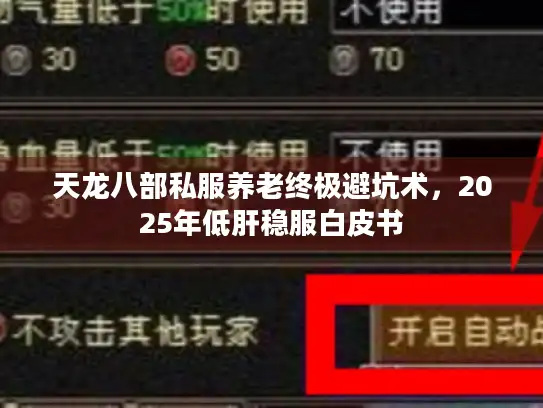 天龙八部私服养老终极避坑术，2025年低肝稳服白皮书