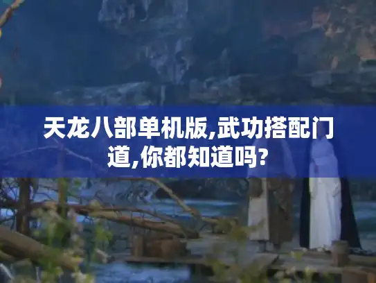 天龙八部单机版,武功搭配门道,你都知道吗? 天龙八部单机版,武功搭配门道,你都知道吗?