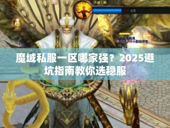 魔域私服一区哪家强？2025避坑指南教你选稳服