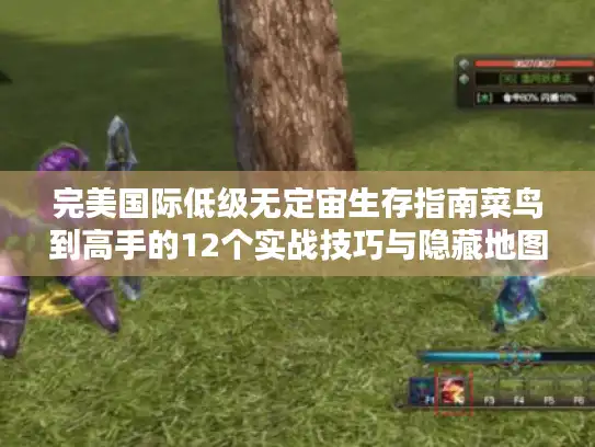 完美国际低级无定宙生存指南菜鸟到高手的12个实战技巧与隐藏地图全解 完美国际低级无定宙生存指南菜鸟到高手的12个实战技巧与隐藏地图全解
