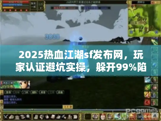 2025热血江湖sf发布网，玩家认证避坑实操，躲开99%陷阱