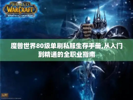 魔兽世界80级单刷私服生存手册,从入门到精通的全职业指南