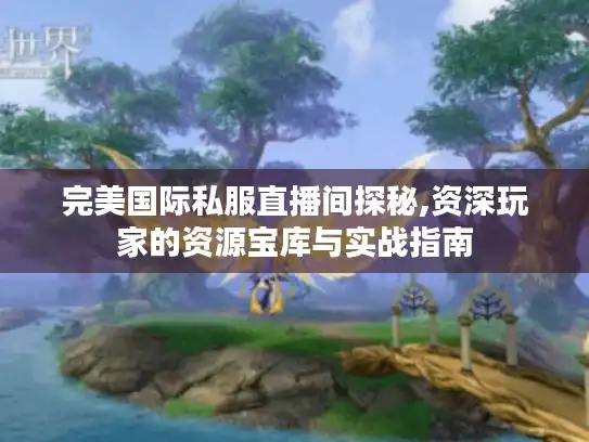 完美国际私服直播间探秘,资深玩家的资源宝库与实战指南 完美国际私服直播间探秘,资深玩家的资源宝库与实战指南